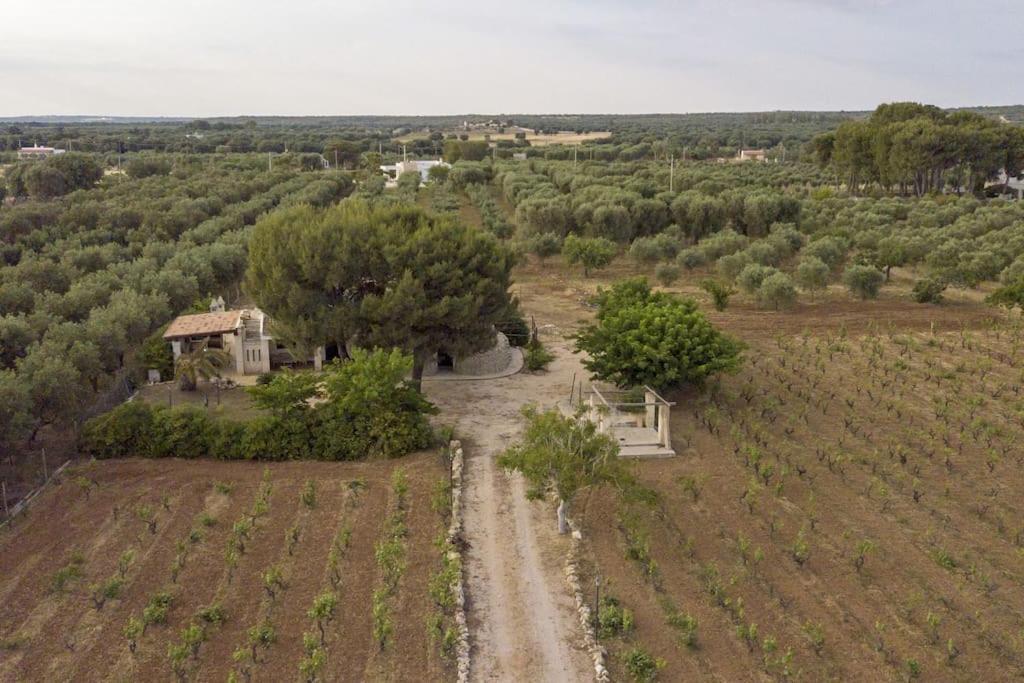 Villa Principe Degli Olivi Maruggio Zewnętrze zdjęcie